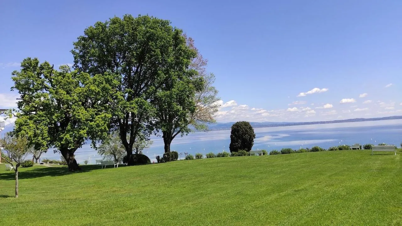 Front Lake Amazing View Manerba del Garda 0*,